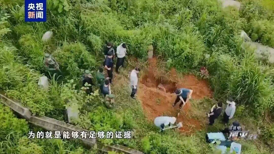 文章配图-2